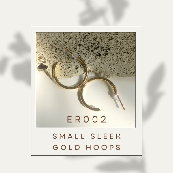 5_20250101_154502_0001 small gold hoops er002